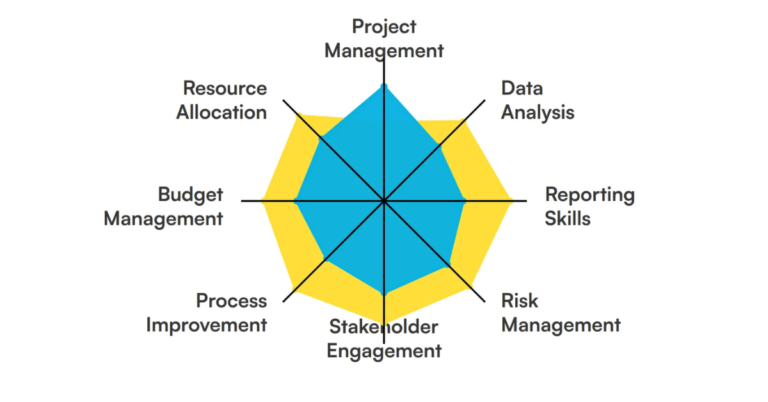 pmo project analyst